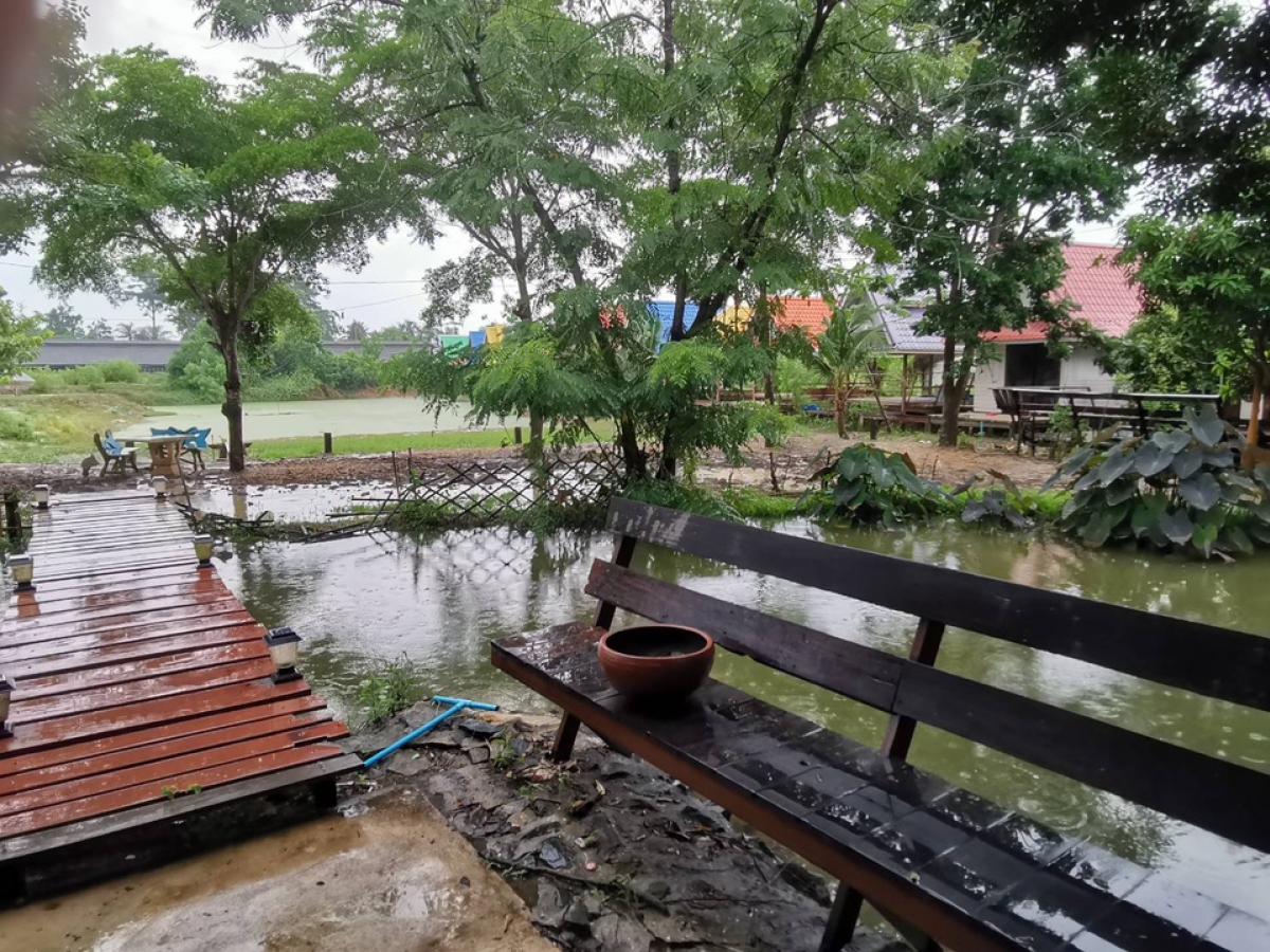 ขายที่ดินพัทยา บางแสน ชลบุรี สัตหีบ : ขายขาดทุน !! ที่ดินแถมบ้านเรือนไทย ไม้สัก สภาพดี เดิมเคยเปิดเป็นโฮมสเตย์และคาเฟ่   เนื้อที่ 7-3-70 ไร่ ต.หมอนนาง อ.พนัสนิคม จ.ชลบุรี