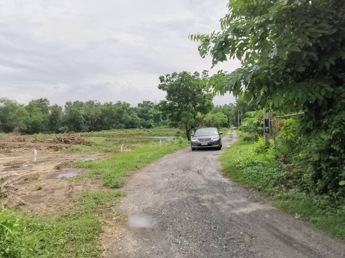 ขายที่ดินพัทยา บางแสน ชลบุรี สัตหีบ : ขายขาดทุน !! ที่ดินแถมบ้านเรือนไทย ไม้สัก สภาพดี เดิมเคยเปิดเป็นโฮมสเตย์และคาเฟ่   เนื้อที่ 7-3-70 ไร่ ต.หมอนนาง อ.พนัสนิคม จ.ชลบุรี