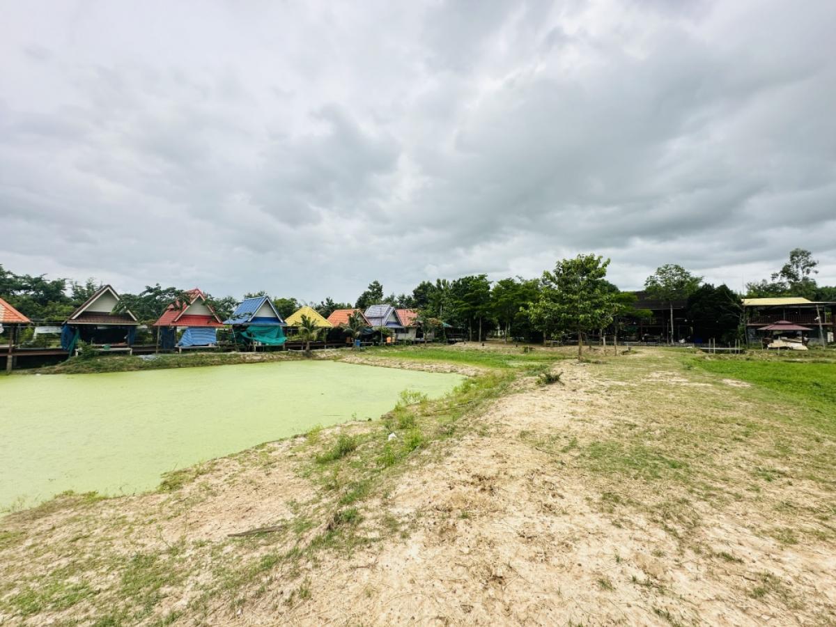 ขายที่ดินพัทยา บางแสน ชลบุรี สัตหีบ : ขายขาดทุน !! ที่ดินแถมบ้านเรือนไทย ไม้สัก สภาพดี เดิมเคยเปิดเป็นโฮมสเตย์และคาเฟ่   เนื้อที่ 7-3-70 ไร่ ต.หมอนนาง อ.พนัสนิคม จ.ชลบุรี