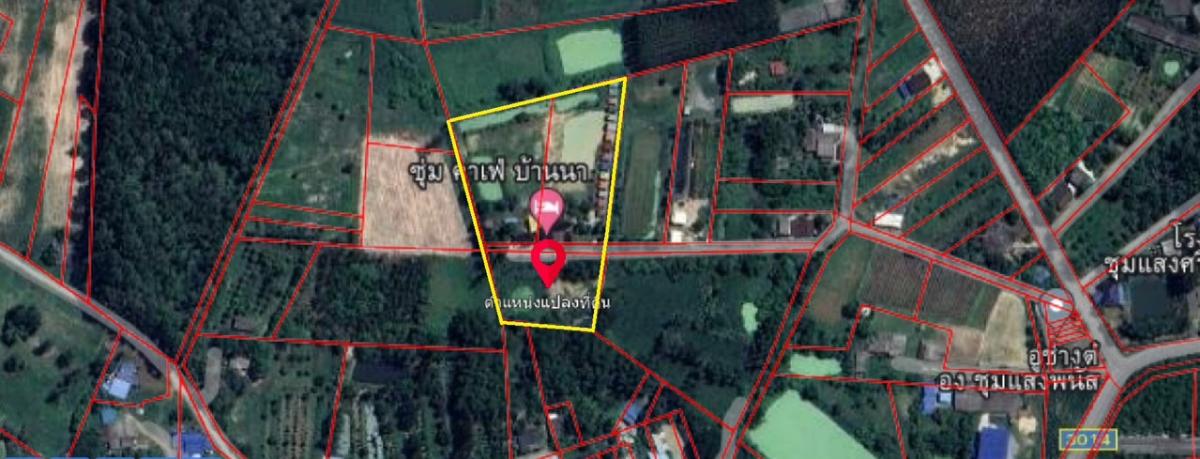 ขายที่ดินพัทยา บางแสน ชลบุรี สัตหีบ : ขายขาดทุน !! ที่ดินแถมบ้านเรือนไทย ไม้สัก สภาพดี เดิมเคยเปิดเป็นโฮมสเตย์และคาเฟ่   เนื้อที่ 7-3-70 ไร่ ต.หมอนนาง อ.พนัสนิคม จ.ชลบุรี