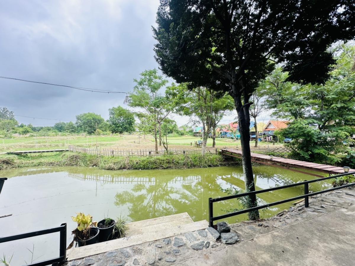 ขายที่ดินพัทยา บางแสน ชลบุรี สัตหีบ : ขายขาดทุน !! ที่ดินแถมบ้านเรือนไทย ไม้สัก สภาพดี เดิมเคยเปิดเป็นโฮมสเตย์และคาเฟ่   เนื้อที่ 7-3-70 ไร่ ต.หมอนนาง อ.พนัสนิคม จ.ชลบุรี