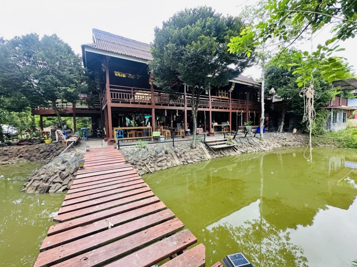 ขายที่ดินพัทยา บางแสน ชลบุรี สัตหีบ : ขายขาดทุน !! ที่ดินแถมบ้านเรือนไทย ไม้สัก สภาพดี เดิมเคยเปิดเป็นโฮมสเตย์และคาเฟ่   เนื้อที่ 7-3-70 ไร่ ต.หมอนนาง อ.พนัสนิคม จ.ชลบุรี