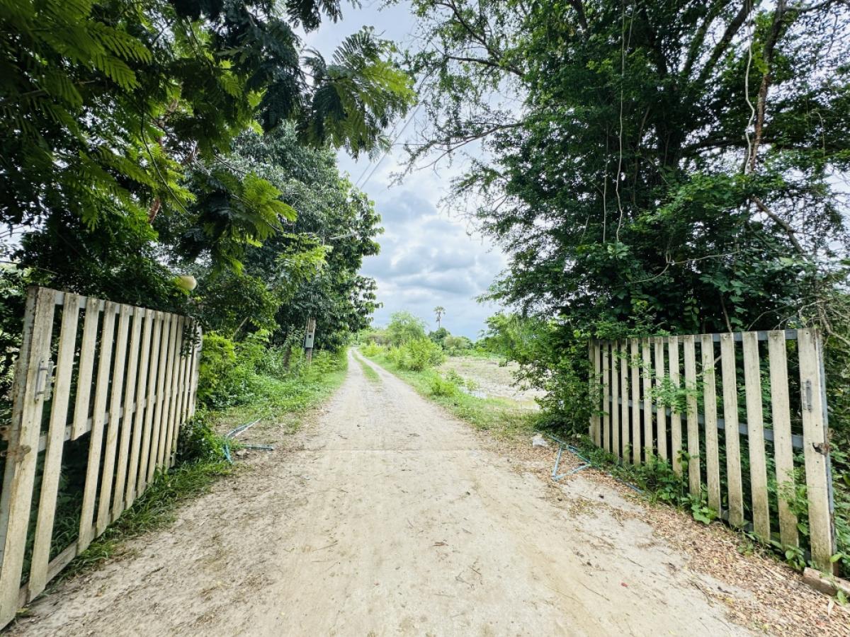 ขายที่ดินพัทยา บางแสน ชลบุรี สัตหีบ : ขายขาดทุน !! ที่ดินแถมบ้านเรือนไทย ไม้สัก สภาพดี เดิมเคยเปิดเป็นโฮมสเตย์และคาเฟ่   เนื้อที่ 7-3-70 ไร่ ต.หมอนนาง อ.พนัสนิคม จ.ชลบุรี