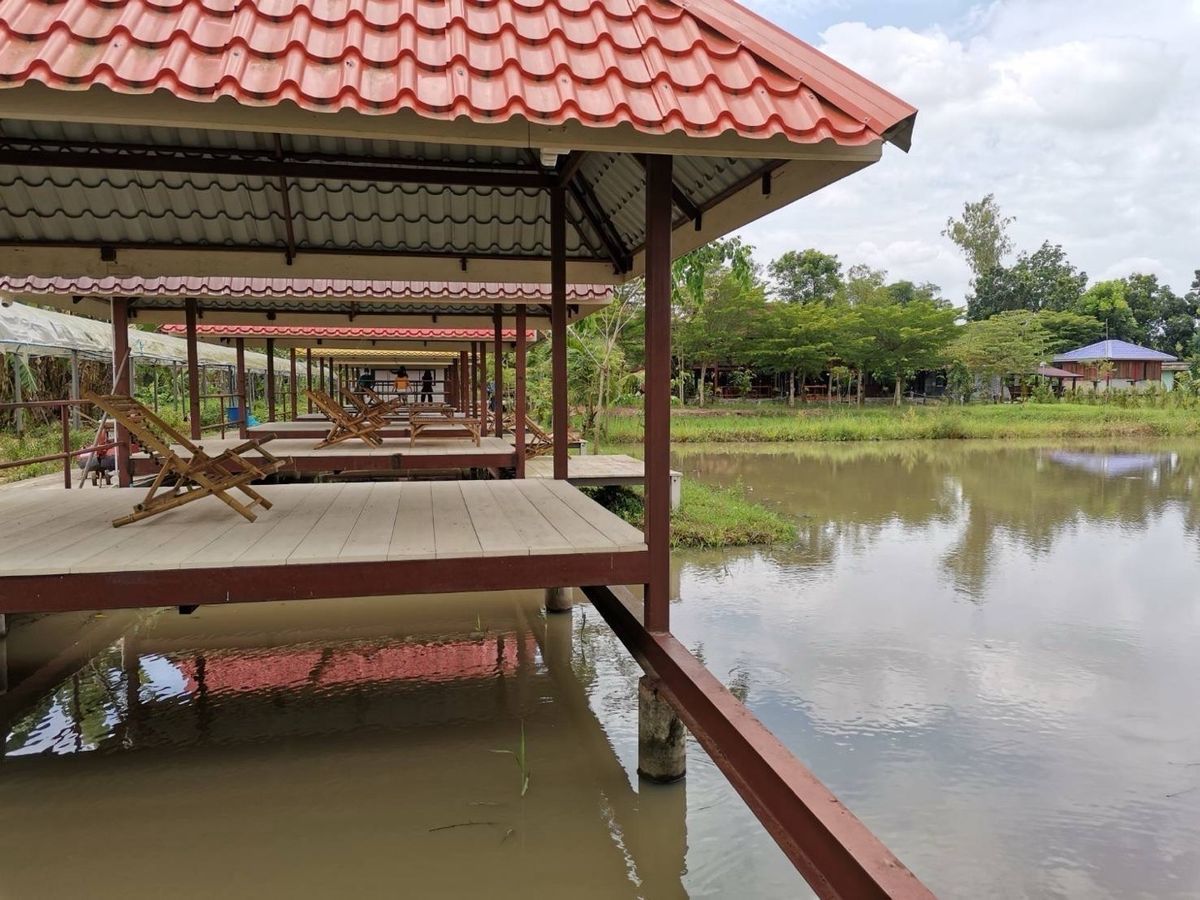 ขายที่ดินพัทยา บางแสน ชลบุรี สัตหีบ : ขายขาดทุน !! ที่ดินแถมบ้านเรือนไทย ไม้สัก สภาพดี เดิมเคยเปิดเป็นโฮมสเตย์และคาเฟ่   เนื้อที่ 7-3-70 ไร่ ต.หมอนนาง อ.พนัสนิคม จ.ชลบุรี