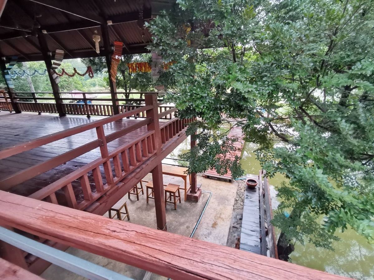 ขายที่ดินพัทยา บางแสน ชลบุรี สัตหีบ : ขายขาดทุน !! ที่ดินแถมบ้านเรือนไทย ไม้สัก สภาพดี เดิมเคยเปิดเป็นโฮมสเตย์และคาเฟ่   เนื้อที่ 7-3-70 ไร่ ต.หมอนนาง อ.พนัสนิคม จ.ชลบุรี