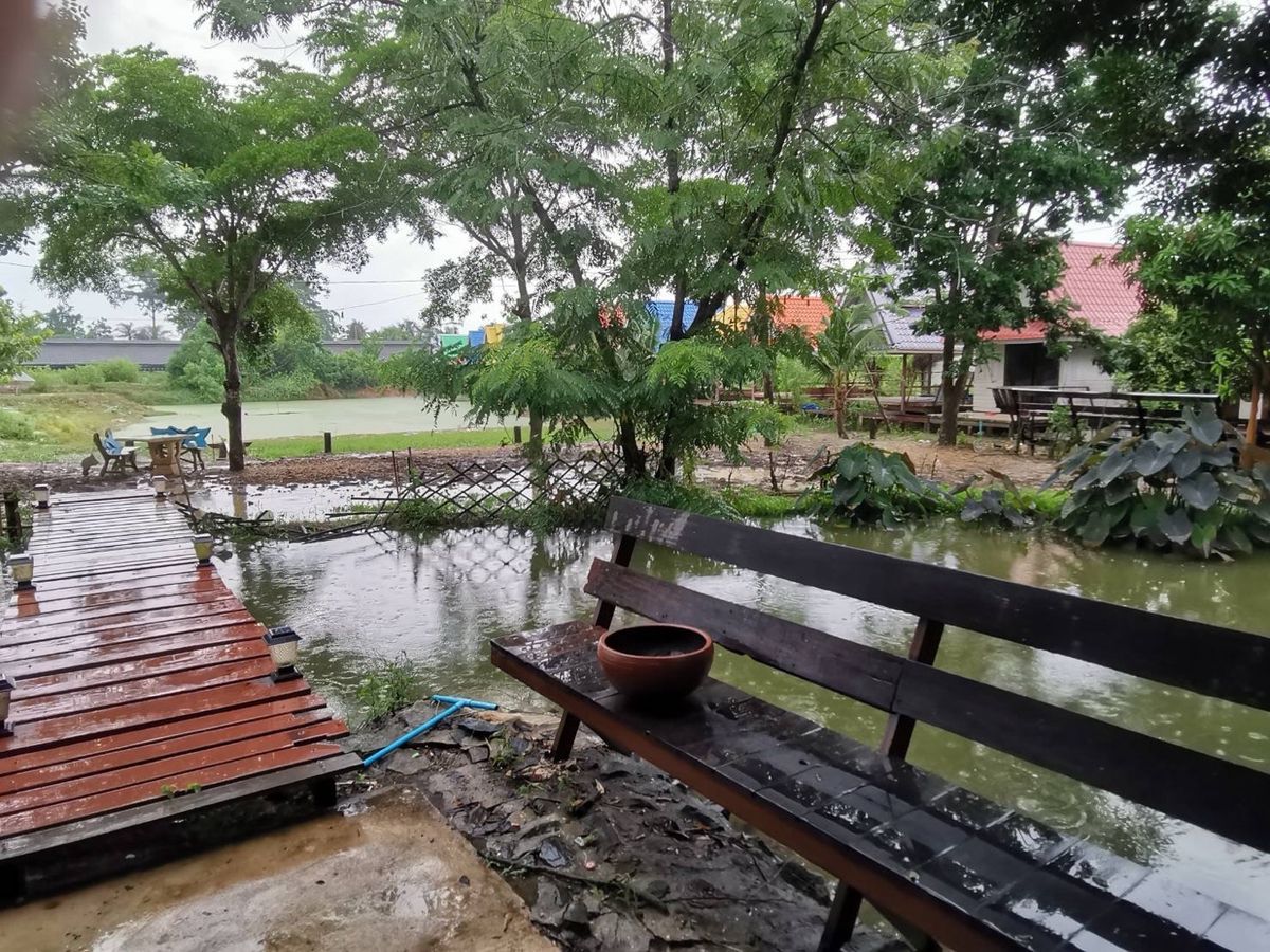 ขายที่ดินพัทยา บางแสน ชลบุรี สัตหีบ : ขายขาดทุน !! ที่ดินแถมบ้านเรือนไทย ไม้สัก สภาพดี เดิมเคยเปิดเป็นโฮมสเตย์และคาเฟ่   เนื้อที่ 7-3-70 ไร่ ต.หมอนนาง อ.พนัสนิคม จ.ชลบุรี