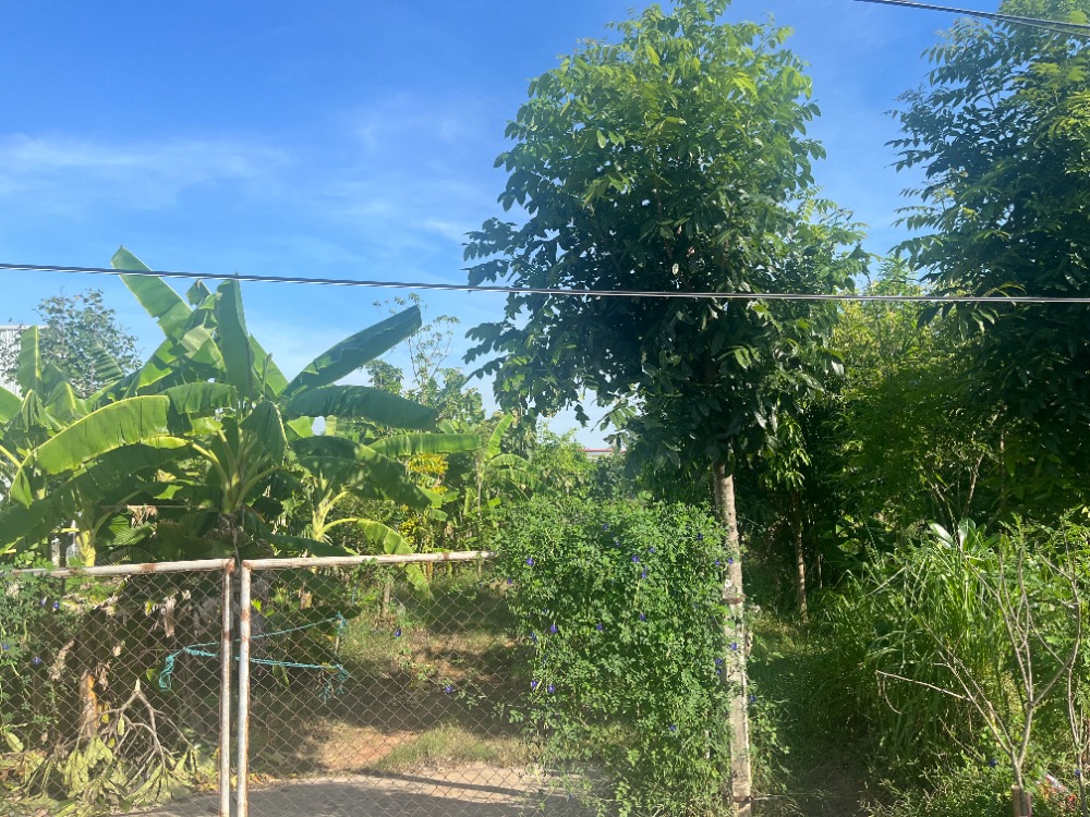 For SaleLandChachoengsao : Land for sale in Chachoengsao, purple color, next to the main road, 30 rai