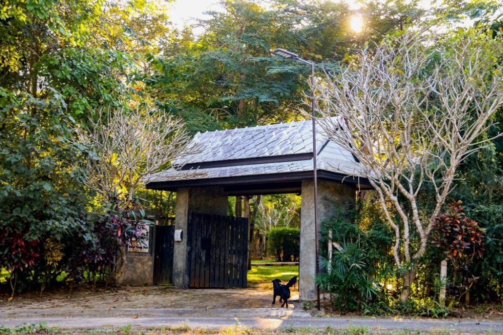 For SaleHouseChiang Mai : Urgent!!! Reduced price in February, only 10.9 million baht. Selling a vacation home on the way to Samoeng, Ban Pong, Samoeng Tai Subdistrict, Chiang Mai Province, not far from the city.