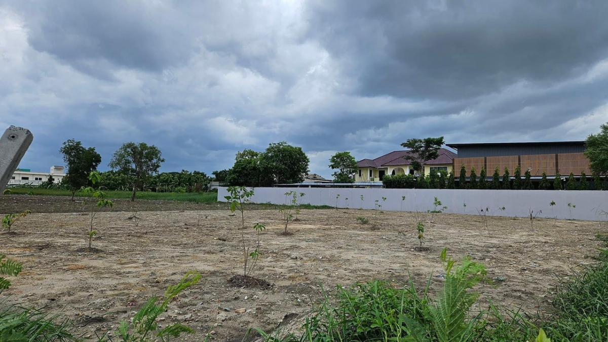 ขายที่ดินพัฒนาการ ศรีนครินทร์ : ขายที่ดินกรุงเทพกรีฑา 37 แยก 6 ขนาด 1 ไร่ (400 ตารางวา) - แปลงมุม ถมดินดำสูงกว่าถนน 30 ซม - ขนาดที่ดิน 32x50 เมตร