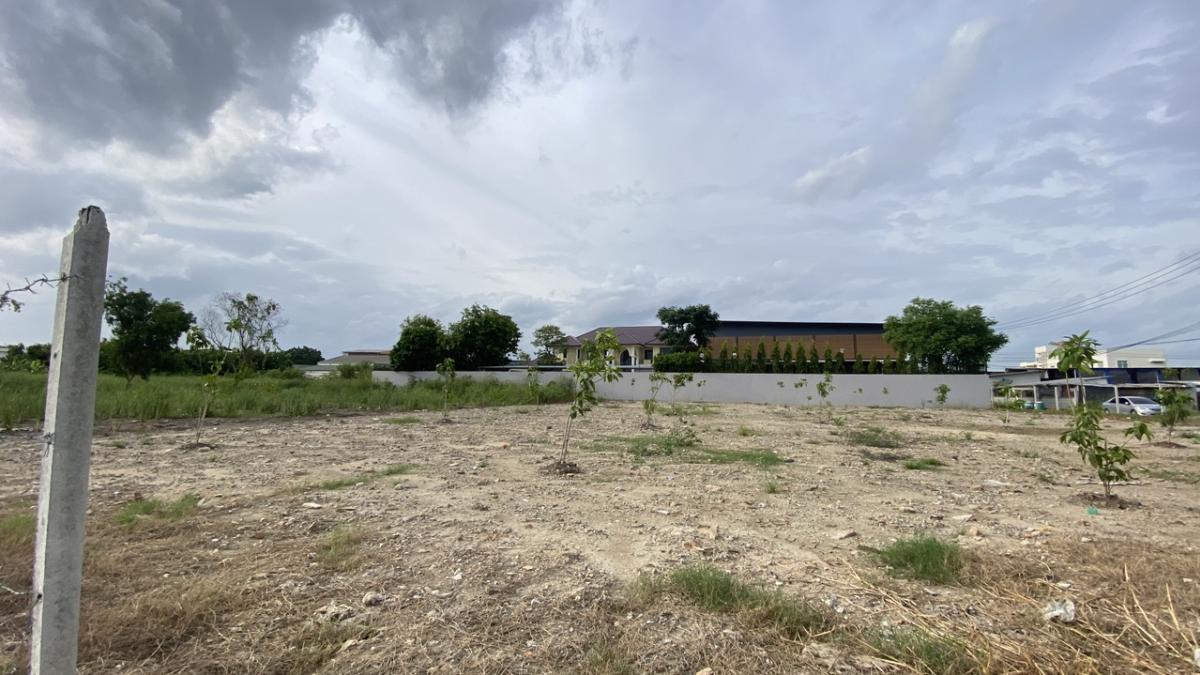 ขายที่ดินพัฒนาการ ศรีนครินทร์ : ขายที่ดินกรุงเทพกรีฑา 37 แยก 6 ขนาด 1 ไร่ (400 ตารางวา) - แปลงมุม ถมดินดำสูงกว่าถนน 30 ซม - ขนาดที่ดิน 32x50 เมตร