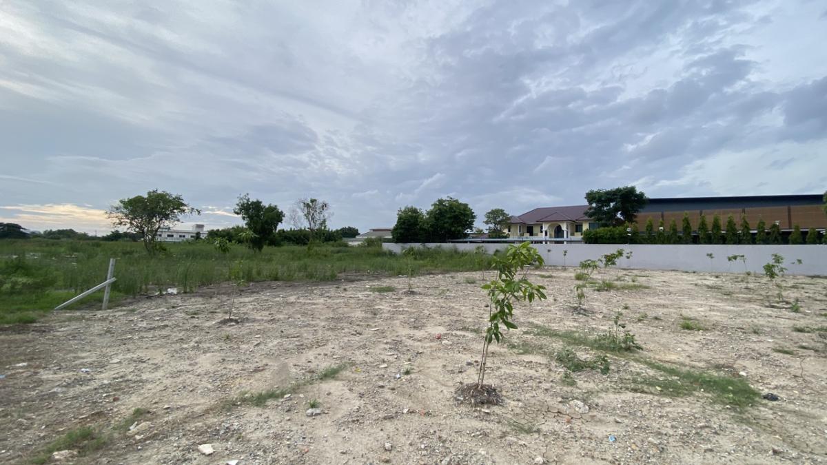 ขายที่ดินพัฒนาการ ศรีนครินทร์ : ขายที่ดินกรุงเทพกรีฑา 37 แยก 6 ขนาด 1 ไร่ (400 ตารางวา) - แปลงมุม ถมดินดำสูงกว่าถนน 30 ซม - ขนาดที่ดิน 32x50 เมตร