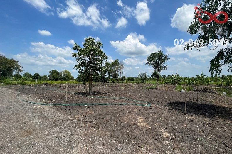 For SaleLandPathum Thani,Rangsit, Thammasat : Land for sale, area 1 rai, along Khlong 12 Road, Nong Suea, Pathum Thani