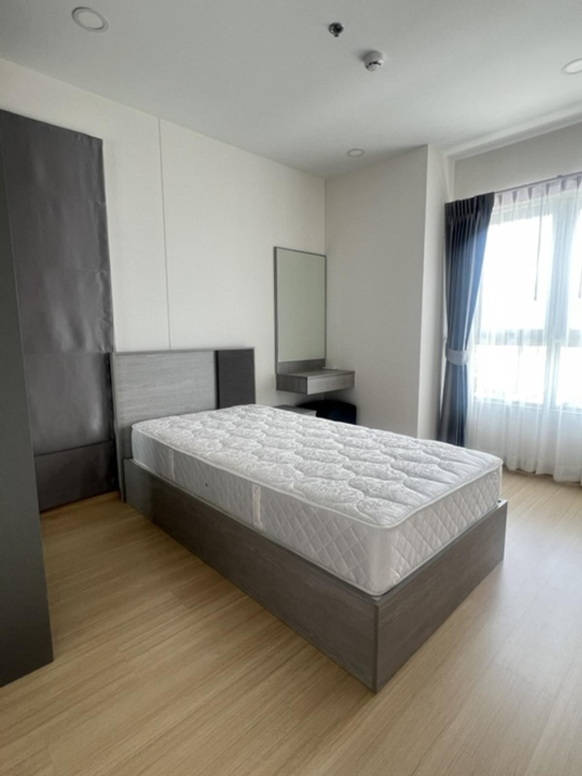 ให้เช่าคอนโดสมุทรปราการ สำโรง : 🔹🔷‼️FOR Rent ‼️🔷🔹Condo Supalai Veranda Sukumvit 117 ให้เช่าคอนโด ศุภาลัย เวอเรนด้า สุขุมวิท 117 #BTSphuchao #ศุภาลัยเวอเรนด้าสุขุมวิท117 #supalaiverandasukhumvit117  #ปู่เจ้า#sukhumvit #Samrong #บีทีเอสปู่เจ้า #toyotasamrong 🚫 Minimum 1 year contract 🚫 No