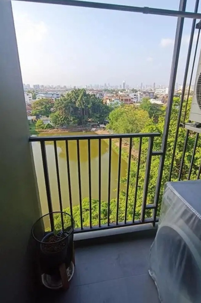 ขายคอนโดโชคชัย4 ลาดพร้าว71 : S-EXCL102 ขาย คอนโด ดิ เอ็กเซล ลาดพร้าว-สุทธิสาร ชั้น8 วิวเมือง 26.50ตรม. 1นอน 1น้ำ 2.163 ล้าน 064-959-8900