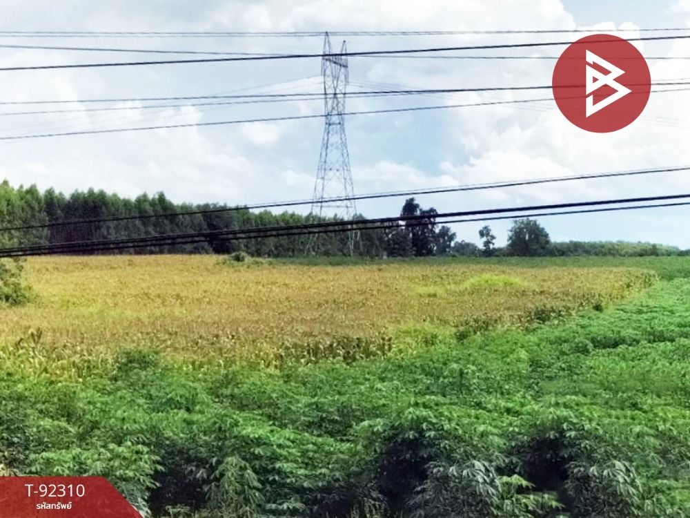 For SaleLandKamphaeng Phet : Land for sale, area 6 rai 1 ngan 69.9 square wa, Ang Thong, Kamphaeng Phet