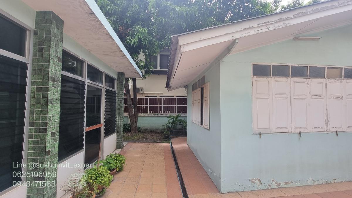 ให้เช่าบ้านสุขุมวิท อโศก ทองหล่อ : ให้เช่าบ้านเดี่ยวพร้อมพงษ์ ที่ดินใหญ่ 204 ตารางวา มีต้นไม้มีสวน เหมาะทำสปาออนเซ็น คลินิกความงาม มีบ้าน 3 หลัง เป็นบ้านเดี่ยว 2 ชั้น 1 หลังและบ้านเดี่ยว 1 ชั้น 2 หลัง