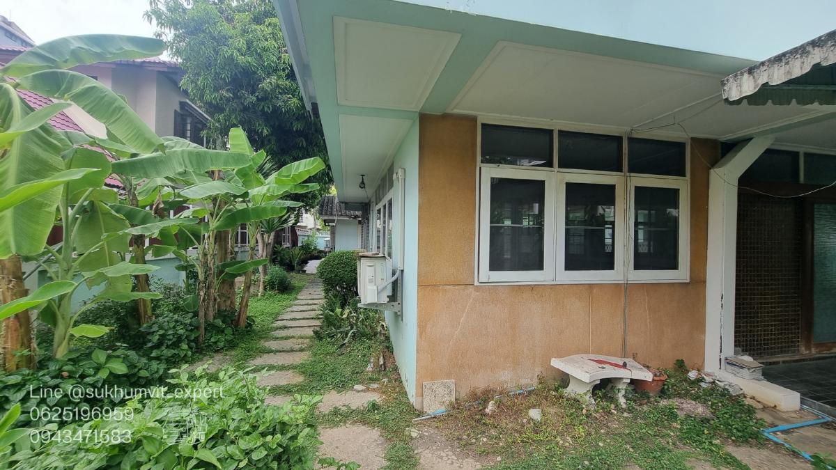 ให้เช่าบ้านสุขุมวิท อโศก ทองหล่อ : ให้เช่าบ้านเดี่ยวพร้อมพงษ์ ที่ดินใหญ่ 204 ตารางวา มีต้นไม้มีสวน เหมาะทำสปาออนเซ็น คลินิกความงาม มีบ้าน 3 หลัง เป็นบ้านเดี่ยว 2 ชั้น 1 หลังและบ้านเดี่ยว 1 ชั้น 2 หลัง