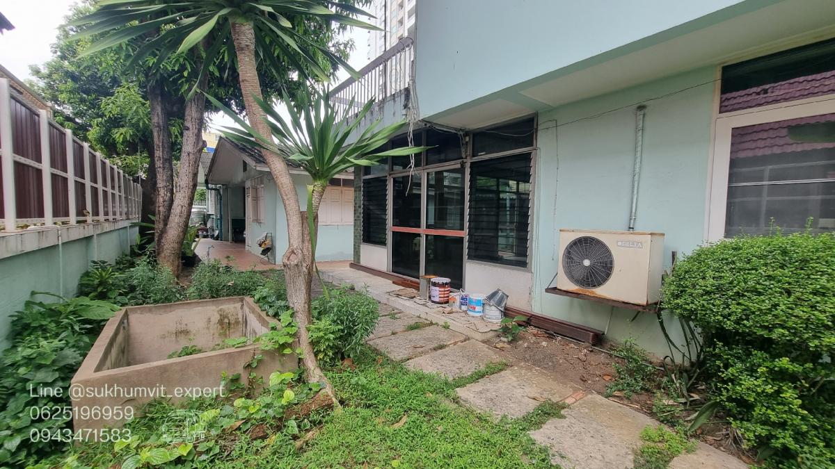 ให้เช่าบ้านสุขุมวิท อโศก ทองหล่อ : ให้เช่าบ้านเดี่ยวพร้อมพงษ์ ที่ดินใหญ่ 204 ตารางวา มีต้นไม้มีสวน เหมาะทำสปาออนเซ็น คลินิกความงาม มีบ้าน 3 หลัง เป็นบ้านเดี่ยว 2 ชั้น 1 หลังและบ้านเดี่ยว 1 ชั้น 2 หลัง