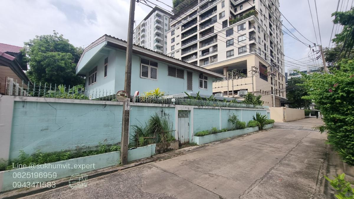 ให้เช่าบ้านสุขุมวิท อโศก ทองหล่อ : ให้เช่าบ้านเดี่ยวพร้อมพงษ์ ที่ดินใหญ่ 204 ตารางวา มีต้นไม้มีสวน เหมาะทำสปาออนเซ็น คลินิกความงาม มีบ้าน 3 หลัง เป็นบ้านเดี่ยว 2 ชั้น 1 หลังและบ้านเดี่ยว 1 ชั้น 2 หลัง