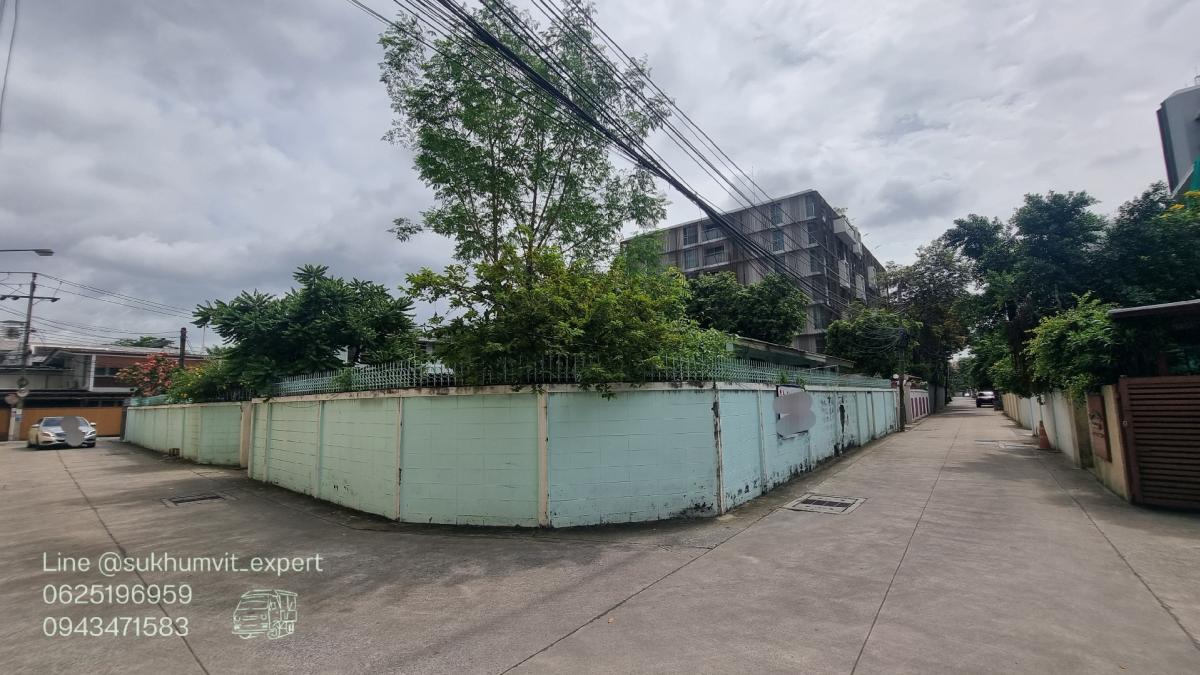 ให้เช่าบ้านสุขุมวิท อโศก ทองหล่อ : ให้เช่าบ้านเดี่ยวพร้อมพงษ์ ที่ดินใหญ่ 204 ตารางวา มีต้นไม้มีสวน เหมาะทำสปาออนเซ็น คลินิกความงาม มีบ้าน 3 หลัง เป็นบ้านเดี่ยว 2 ชั้น 1 หลังและบ้านเดี่ยว 1 ชั้น 2 หลัง