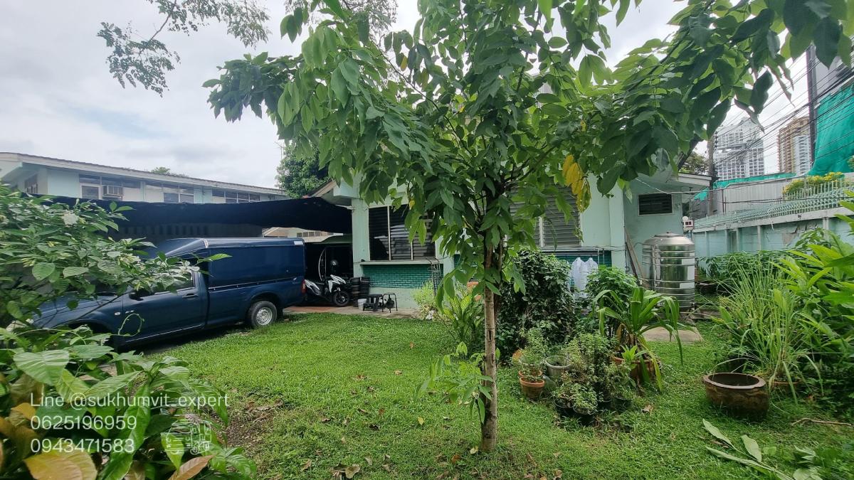 ให้เช่าบ้านสุขุมวิท อโศก ทองหล่อ : ให้เช่าบ้านเดี่ยวพร้อมพงษ์ ที่ดินใหญ่ 204 ตารางวา มีต้นไม้มีสวน เหมาะทำสปาออนเซ็น คลินิกความงาม มีบ้าน 3 หลัง เป็นบ้านเดี่ยว 2 ชั้น 1 หลังและบ้านเดี่ยว 1 ชั้น 2 หลัง