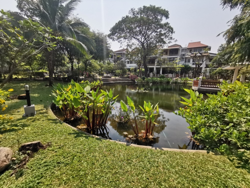 ให้เช่าทาวน์โฮมสะพานควาย จตุจักร : ให้เช่าทาวน์เฮ้าส์รักษาความปลอดภัย 24 ชั่วโมง ขนาด 3 ชั้น 4 ห้องนอน 5 ห้องน้ำ พื้นที่กว่า 350 ตารางเมตร เฟอร์นิเจอร์ครบ วิภาวดีรังสิต-รัชดาภิเษก