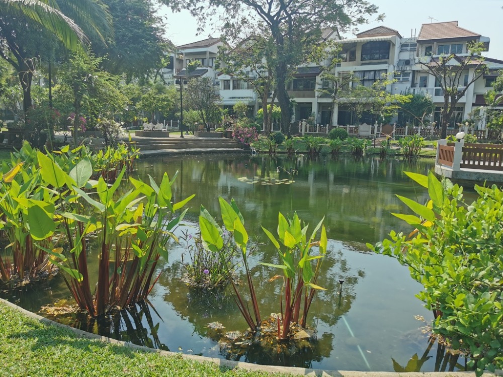 ให้เช่าทาวน์โฮมสะพานควาย จตุจักร : ให้เช่าทาวน์เฮ้าส์รักษาความปลอดภัย 24 ชั่วโมง ขนาด 3 ชั้น 4 ห้องนอน 5 ห้องน้ำ พื้นที่กว่า 350 ตารางเมตร เฟอร์นิเจอร์ครบ วิภาวดีรังสิต-รัชดาภิเษก