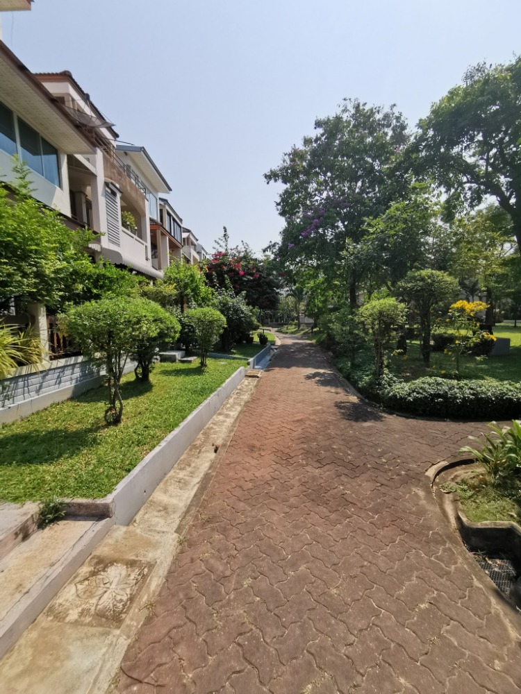 ให้เช่าทาวน์โฮมสะพานควาย จตุจักร : ให้เช่าทาวน์เฮ้าส์รักษาความปลอดภัย 24 ชั่วโมง ขนาด 3 ชั้น 4 ห้องนอน 5 ห้องน้ำ พื้นที่กว่า 350 ตารางเมตร เฟอร์นิเจอร์ครบ วิภาวดีรังสิต-รัชดาภิเษก