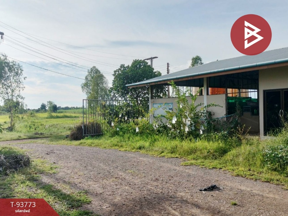 For SaleLandPhitsanulok : Land for sale, fruit orchard with fish farm and house, 28 rai, 3 ngan, 40.1 square wa, Bang Krathum, Phitsanulok