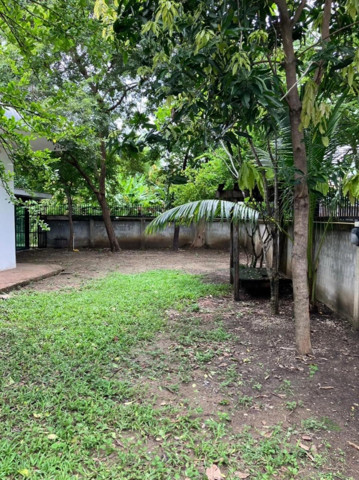 ขายที่ดินเลียบทางด่วนรามอินทรา : 🌟 ขายที่ดินสวย ขนาด 100 ตารางวา บนทำเลที่ดีที่สุดในซอยโยธินพัฒนา 1! 🌟