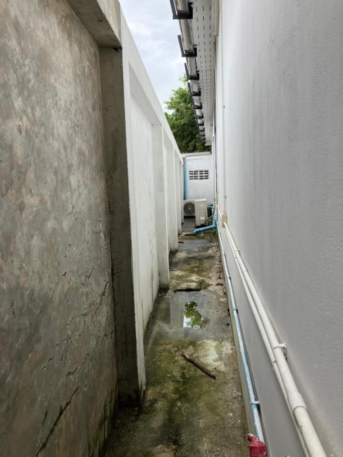 ขายที่ดินเลียบทางด่วนรามอินทรา : 🌟 ขายที่ดินสวย ขนาด 100 ตารางวา บนทำเลที่ดีที่สุดในซอยโยธินพัฒนา 1! 🌟