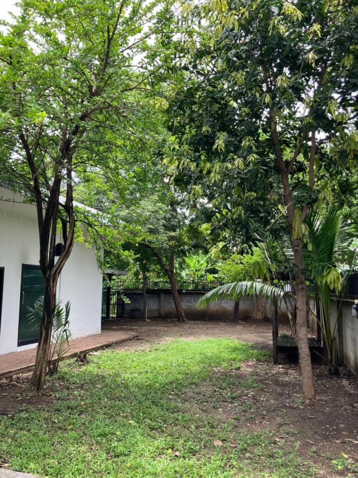 ขายที่ดินเลียบทางด่วนรามอินทรา : 🌟 ขายที่ดินสวย ขนาด 100 ตารางวา บนทำเลที่ดีที่สุดในซอยโยธินพัฒนา 1! 🌟