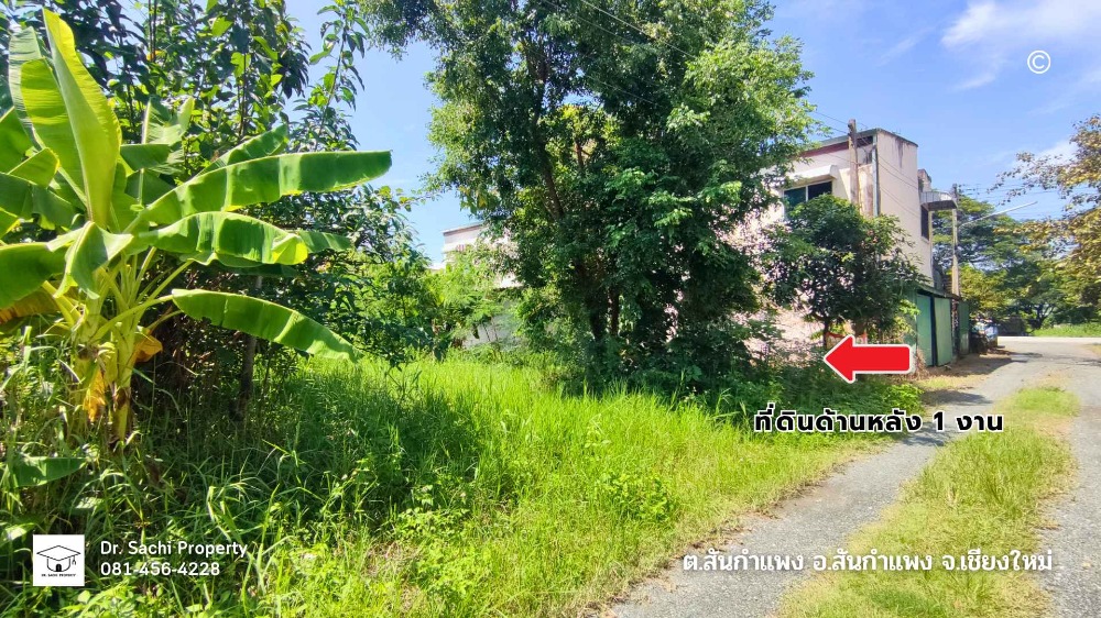 ขายอาคารพาณิชย์เชียงใหม่ : ขายด่วน อาคารพาณิชย์ พร้อมที่ดิน 115 ตรว. ใกล้ รร.สันกำแพง เชียงใหม่