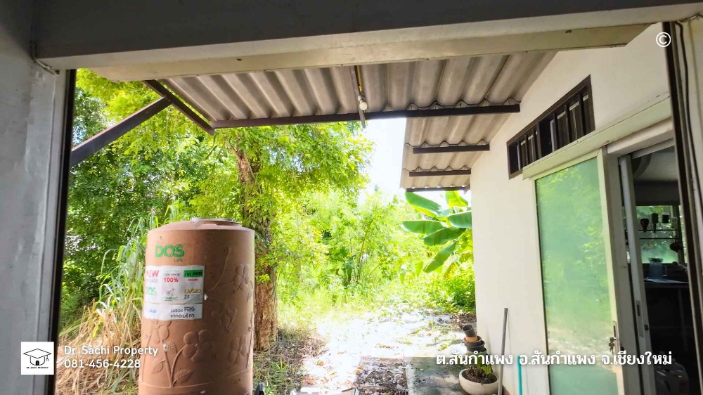 ขายอาคารพาณิชย์เชียงใหม่ : ขายด่วน อาคารพาณิชย์ พร้อมที่ดิน 115 ตรว. ใกล้ รร.สันกำแพง เชียงใหม่