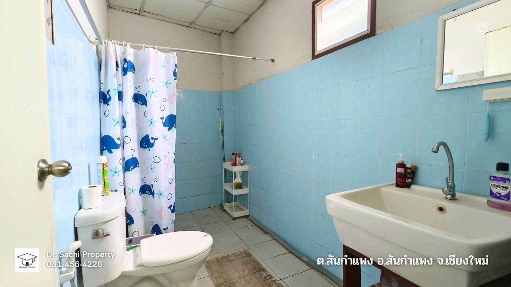 ขายอาคารพาณิชย์เชียงใหม่ : ขายด่วน อาคารพาณิชย์ พร้อมที่ดิน 115 ตรว. ใกล้ รร.สันกำแพง เชียงใหม่