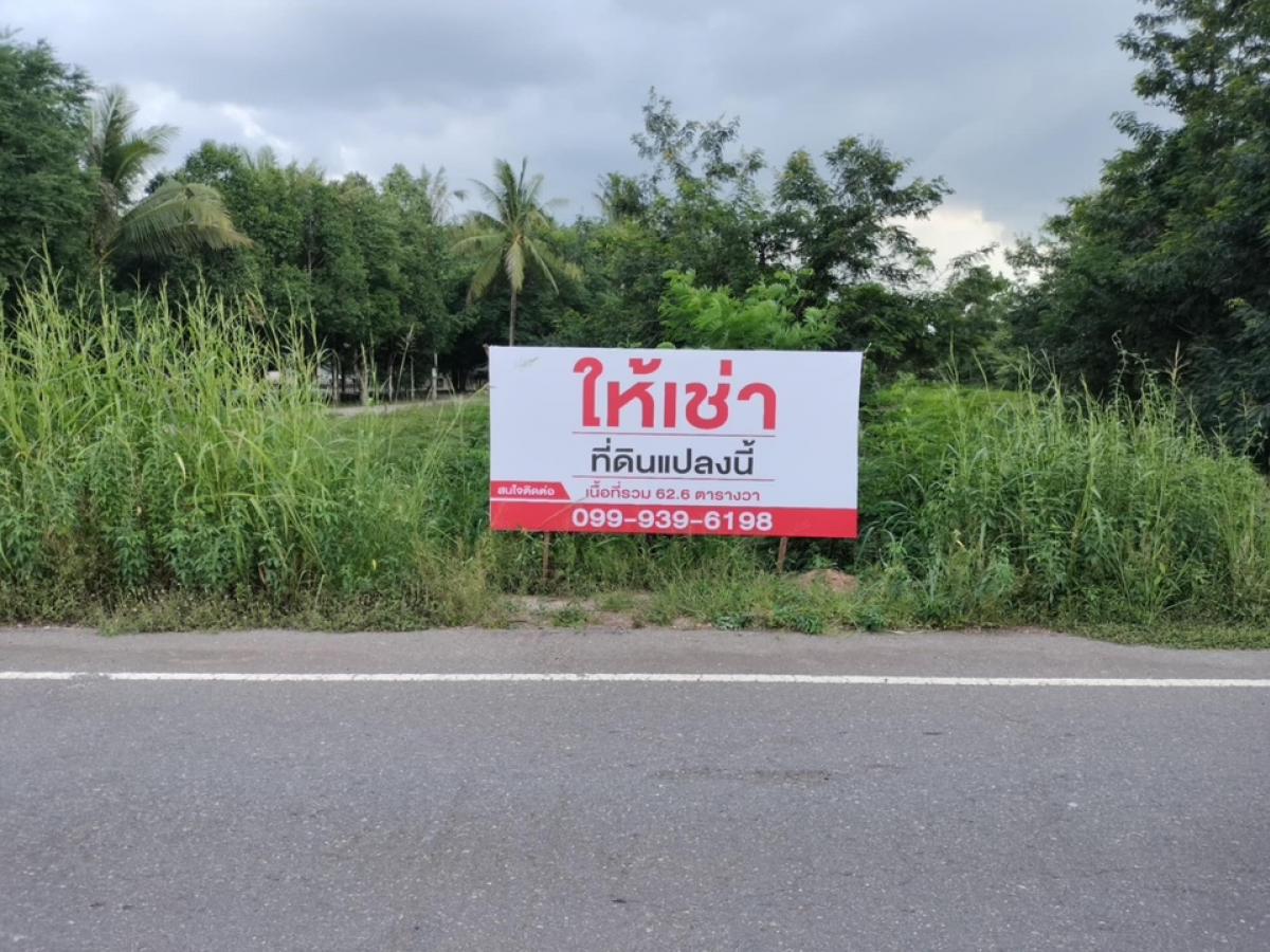 For SaleLandKoh Samui, Surat Thani : Land plot near Suratthani Rajabhat university