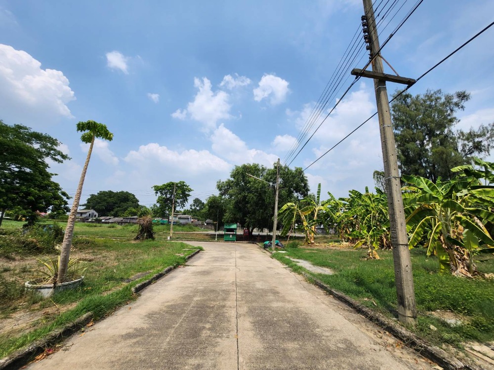 For SaleLandPathum Thani,Rangsit, Thammasat : **LAND FOR SELL** Garden Home Village (Phaholyothin 60)