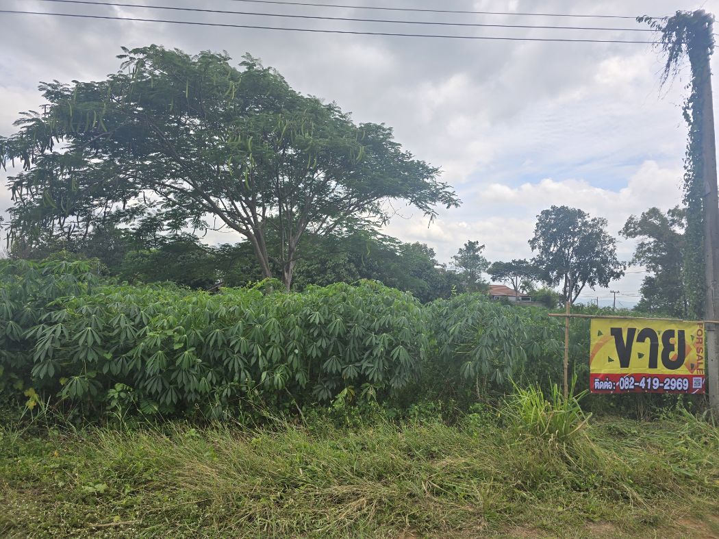 For SaleLandPak Chong KhaoYai : Land for sale, good atmosphere, suitable for building a house or resort, selling 1 rai.