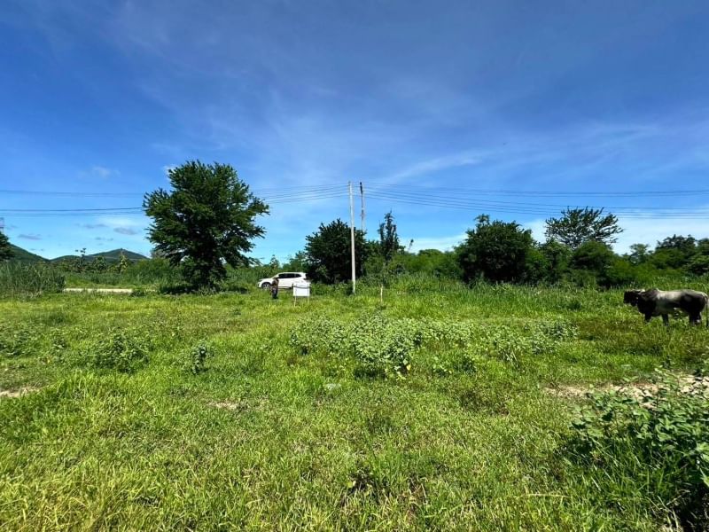 ขายที่ดินหัวหิน ประจวบคีรีขันธ์ : ขาย ที่ดิน 1 ไร่ 1 งาน 22 ตารางวา  ติดถนนเมนหลักโครงการไร่แลนด์ ต.หินเหล็กไฟ อ.หัวหิน จ.ประจวบคีรีขันธ์