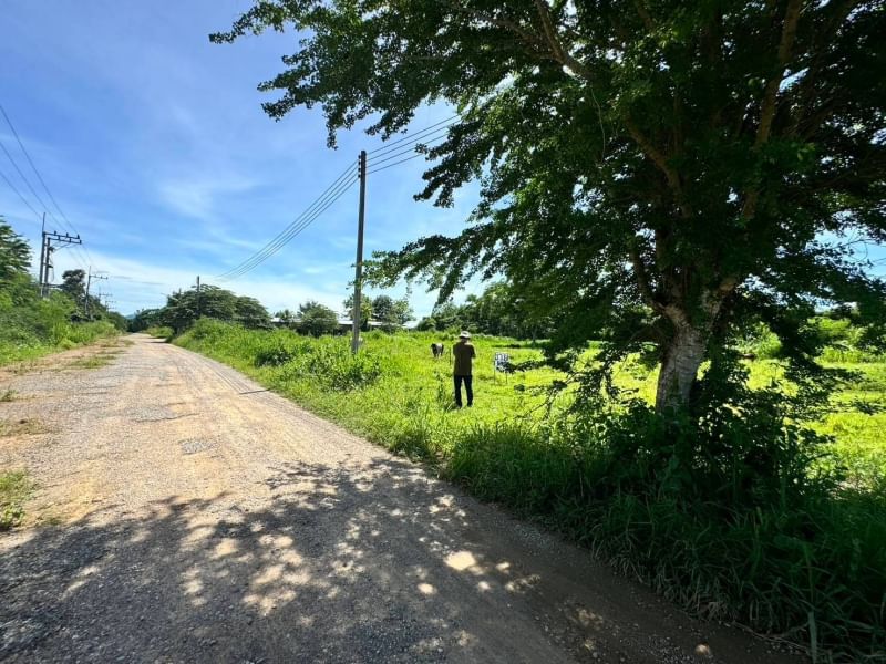 ขายที่ดินหัวหิน ประจวบคีรีขันธ์ : ขาย ที่ดิน 1 ไร่ 1 งาน 22 ตารางวา  ติดถนนเมนหลักโครงการไร่แลนด์ ต.หินเหล็กไฟ อ.หัวหิน จ.ประจวบคีรีขันธ์