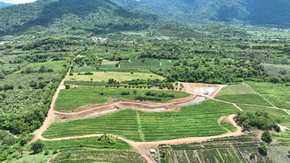 For SaleLandChanthaburi : Land for sale, reduced price, Soi Dao District, over 270 rai, 300,000 baht per rai