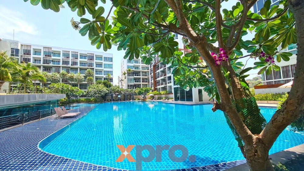 For SaleCondoHuahin, Prachuap Khiri Khan, Pran Buri : 𝐆𝐨𝐨𝐝 𝐏𝐫𝐢𝐜𝐞 ! 𝑻𝒉𝒆 𝑺𝒆𝒂𝒄𝒓𝒂𝒛𝒆 𝑪𝒐𝒏𝒅𝒐𝒎𝒊𝒏𝒊𝒖𝒎,𝑯𝒖𝒂 𝑯𝒊𝒏