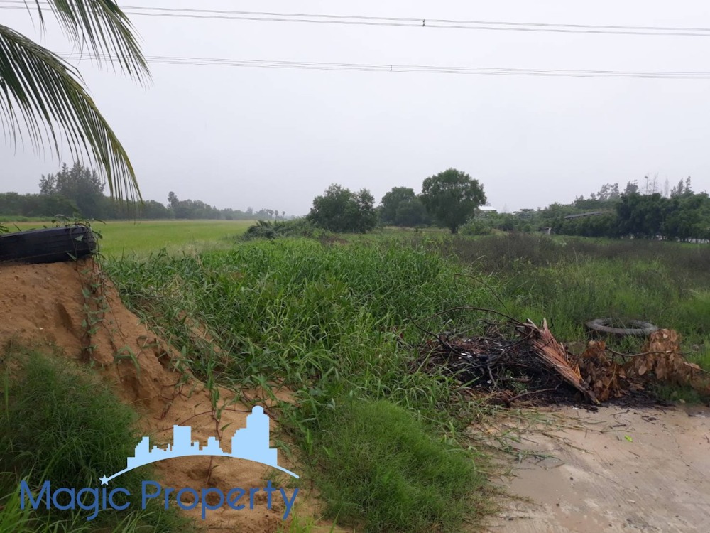 For SaleLandPathum Thani,Rangsit, Thammasat : 10 Rai 2 Ngan 35 Sqw, Land For Sale in Khlong 8, Lam Luk Ka, Pathum Thani