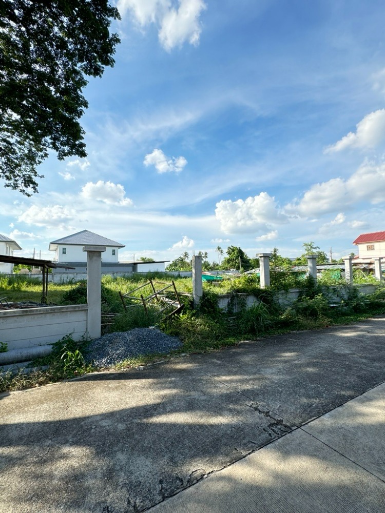 ขายที่ดินนนทบุรี บางใหญ่ บางบัวทอง : 🔥ขายที่ดินถมแล้วแปลงสุดท้าย ทำเลและราคาดีที่สุดในซอยวัดพระเงิน เหมาะสำหรับสร้างบ้านเดี่ยว🏡