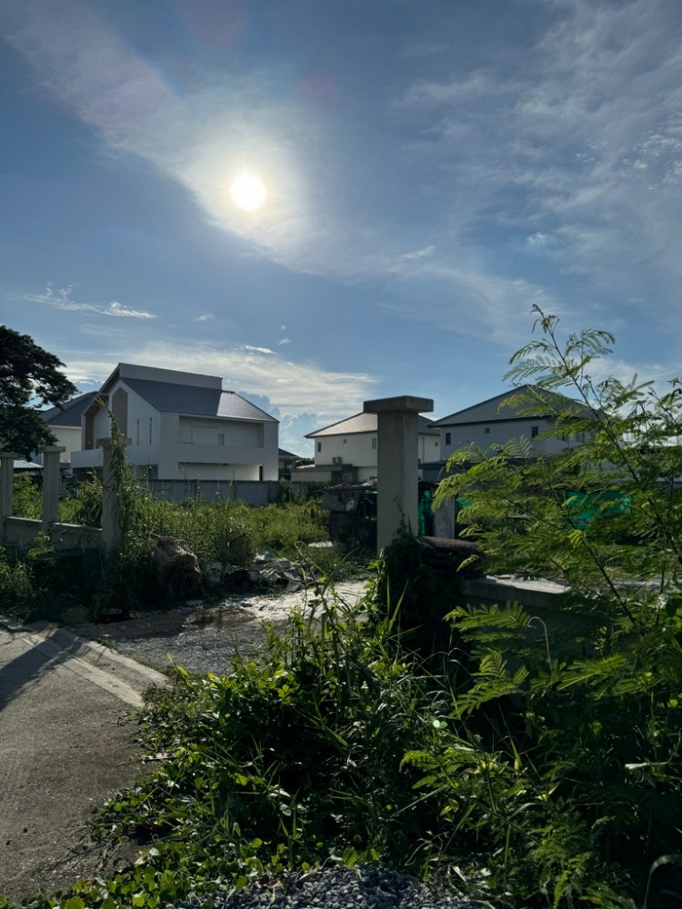 ขายที่ดินนนทบุรี บางใหญ่ บางบัวทอง : 🔥ขายที่ดินถมแล้วแปลงสุดท้าย ทำเลและราคาดีที่สุดในซอยวัดพระเงิน เหมาะสำหรับสร้างบ้านเดี่ยว🏡