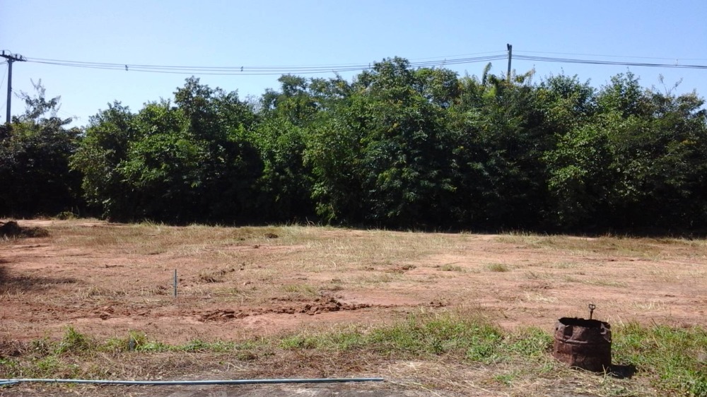 For SaleLandMaha Sarakham : Good location land, Koeng Subdistrict, Mueang Maha Sarakham District, with title deed, land frontage on black road, with water and electricity.