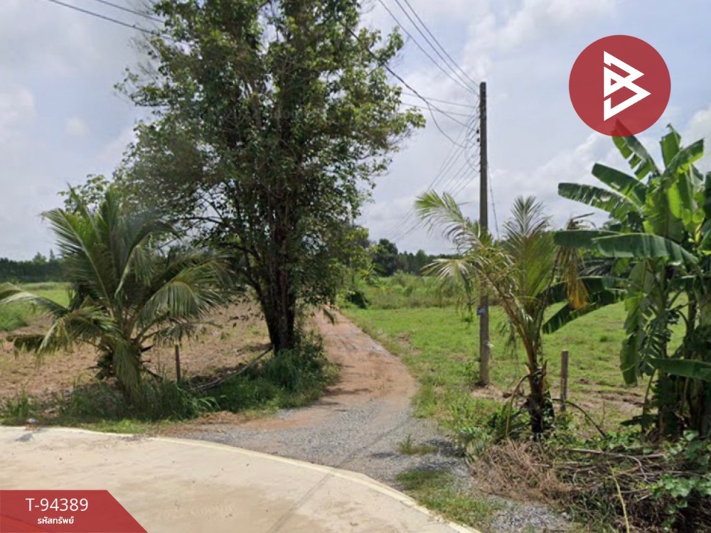 For SaleLandPattaya, Bangsaen, Chonburi : Land for sale, area 5 rai, Koh Chan, Chonburi