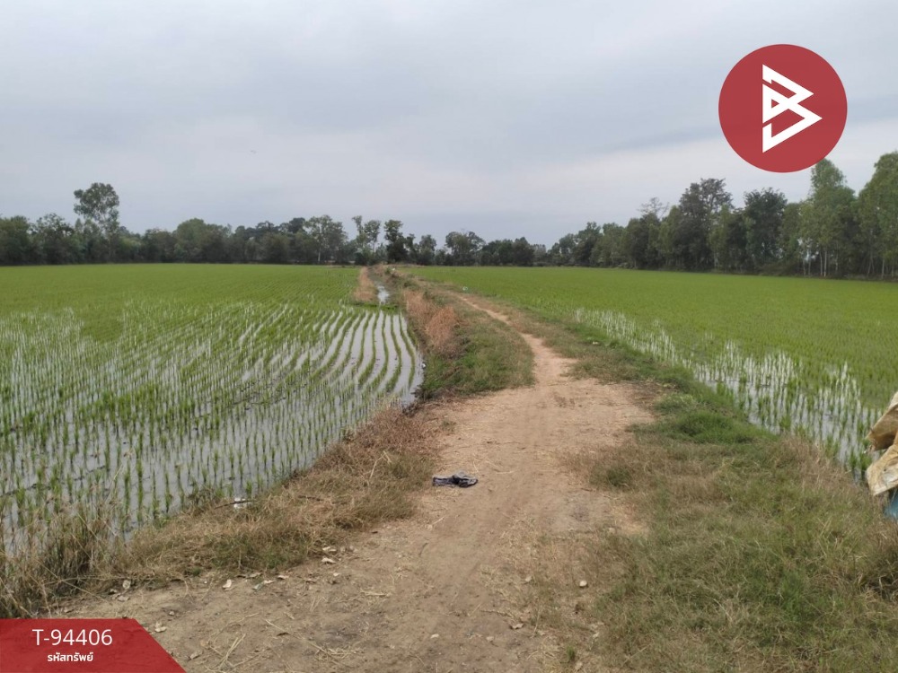 For SaleLandPhichit : Urgent sale of vacant land, area 25 rai 2 ngan 1 sq.wa, Pho Thale, Phichit
