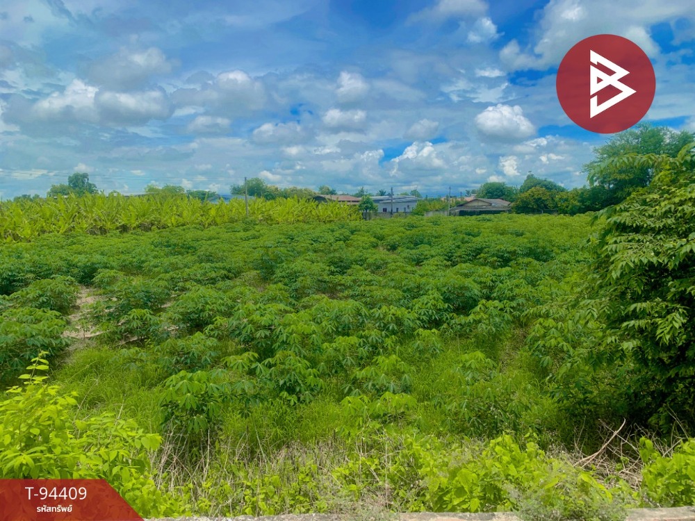 For SaleLandKamphaeng Phet : Land for sale, area 2 rai 1 ngan 53.9 square wa, Sa Kaeo, Kamphaeng Phet