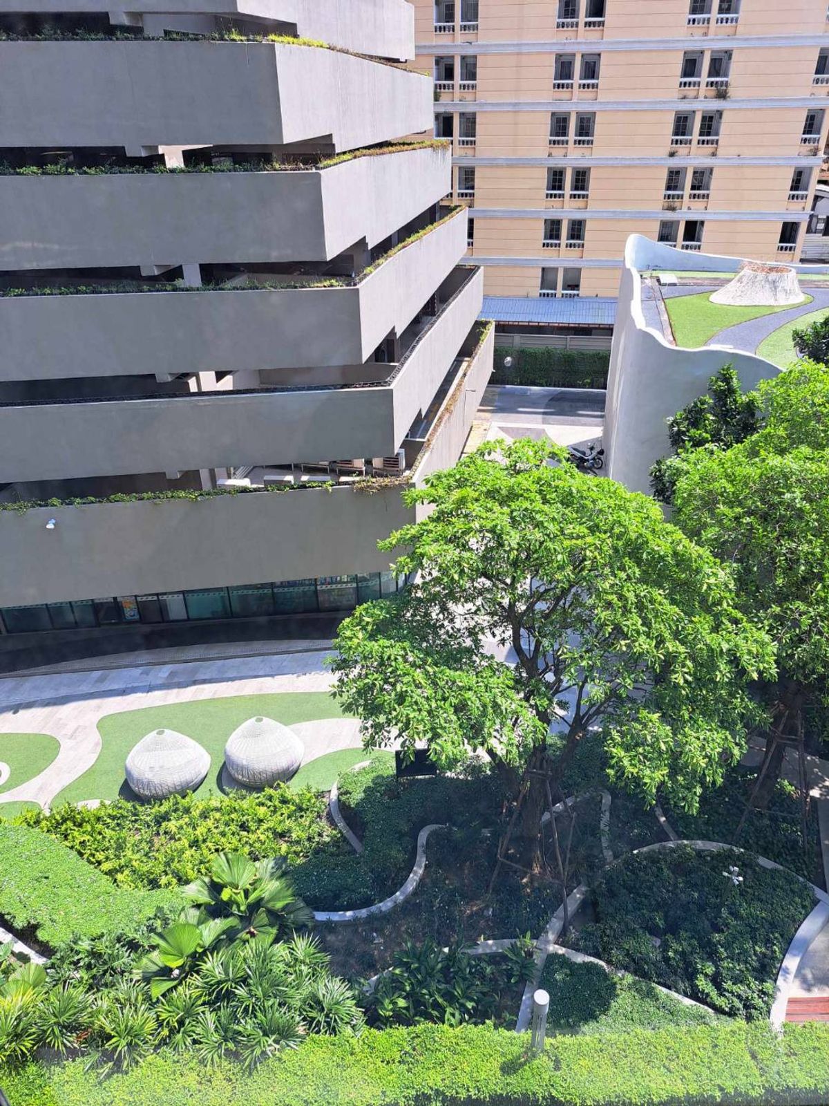 ขายคอนโดอ่อนนุช อุดมสุข : ขายห้องคอนโด 1ห้องนอน ตึกA ที่ Elio Del Nest Sukhumvit103 Btsอุดมสุข ห้องไม่ติดผู้เช่าค่ะ